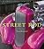 The Street Rod (Enthusiast ...