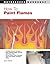 How To Paint Flames