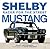 Shelby Mustang: Racer for the Street
