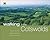 AA Walking in the Cotswolds by Martin Knowlden