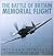 The Battle of Britain Memorial Flight by Paul Day