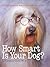 How Smart Is Your Dog?: 30 Fun Science Activities with Your Pet