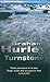 Turnstone