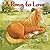 A Pony to Love (Cuddle & Read Books)