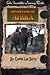 Adventure in Africa (Incredible Journey Books)