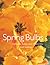Spring Bulbs: Daffodils, Tulips and Hyacinths