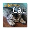 Sleepy Cat Sleepy Cat