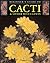 Beginner's Guide to Cacti & Other Succulents by John       Ellis