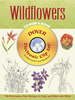 Wildflowers