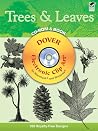 Trees & Leaves Trees & Leaves