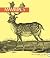 Mammals (Dover Pictura Electronic Clip Art)