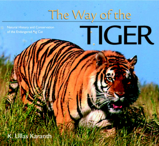 The Way of the Tiger: Natural History and Conservation of the Endangered Big Cat (Paperback)