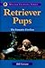 Retriever Pups: The Formati...