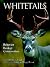 Whitetails: Behavior Ecolog...