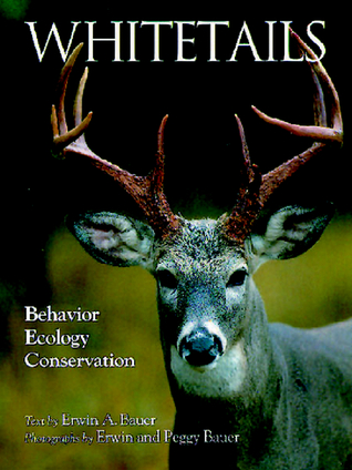 Whitetails: Behavior Ecology Conservation