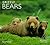 Grizzly Bears (World Life Library)