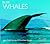 Blue Whales (WorldLife Library Series)