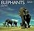 Elephants