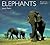 Elephants by Joyce Poole