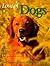 Love of Dogs: The Ultimate ...
