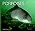 Porpoises by Andrew P. Read