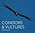 Condors and Vultures by David  Houston