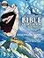 The Illustrated Bible Story...