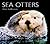Sea Otters