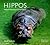 Hippos