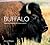 Buffalo