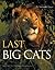 The Last Big Cats: An Untamed Spirit