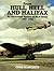 From Hull, Hell and Halifax: An Illustrated History of No. 4 Group 1937-1948