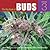The Big Book of Buds: More ...