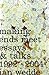 Making Ends Meet: Essays & Talks 1992-2004