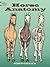 Horse Anatomy Coloring Book