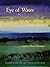Eye of Water by Amber Flora Thomas