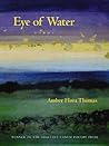 Eye of Water (Pitt Poetry Series) Eye of Water (Pitt Poetry Series)