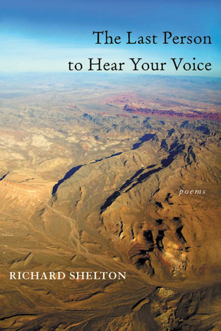 The Last Person to Hear Your Voice (Pitt Poetry Series)