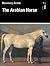 The Arabian Horse