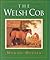 The Welsh Cob