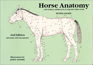Horse Anatomy: A Pictorial Approach to Equine Structure