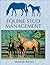 Equine Stud Management