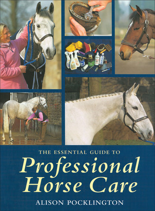 The Essential Guide To Professional Horse Care