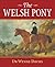 The Welsh Pony