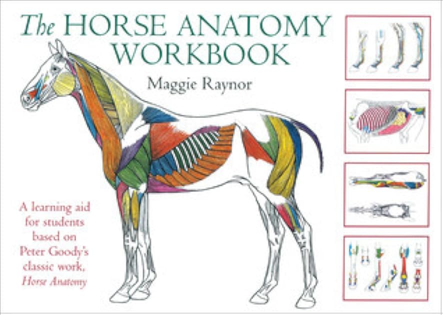 Horse Anatomy Workbook: A Learning Aid for Students Based on Peter Goody's Classic Work, Horse Anatomy
