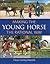 Making the Young Horse the Rational Way