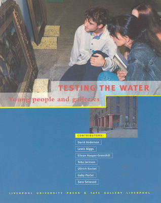 Testing the Water: Young People and Galleries (Paperback)