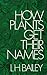 How Plants Get Their Names