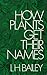 How Plants Get Their Names
