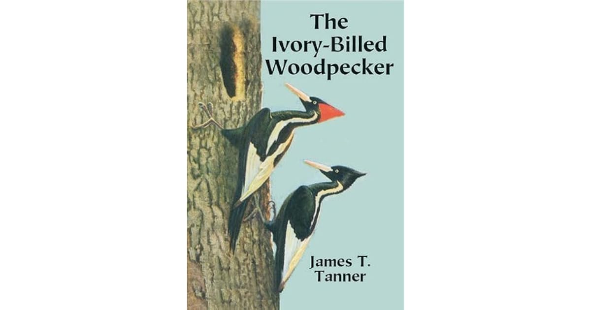 The Ivory-Billed Woodpecker by James T. Tanner